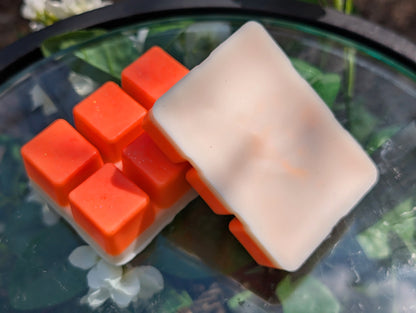 Prickly Pine Wax Melt
